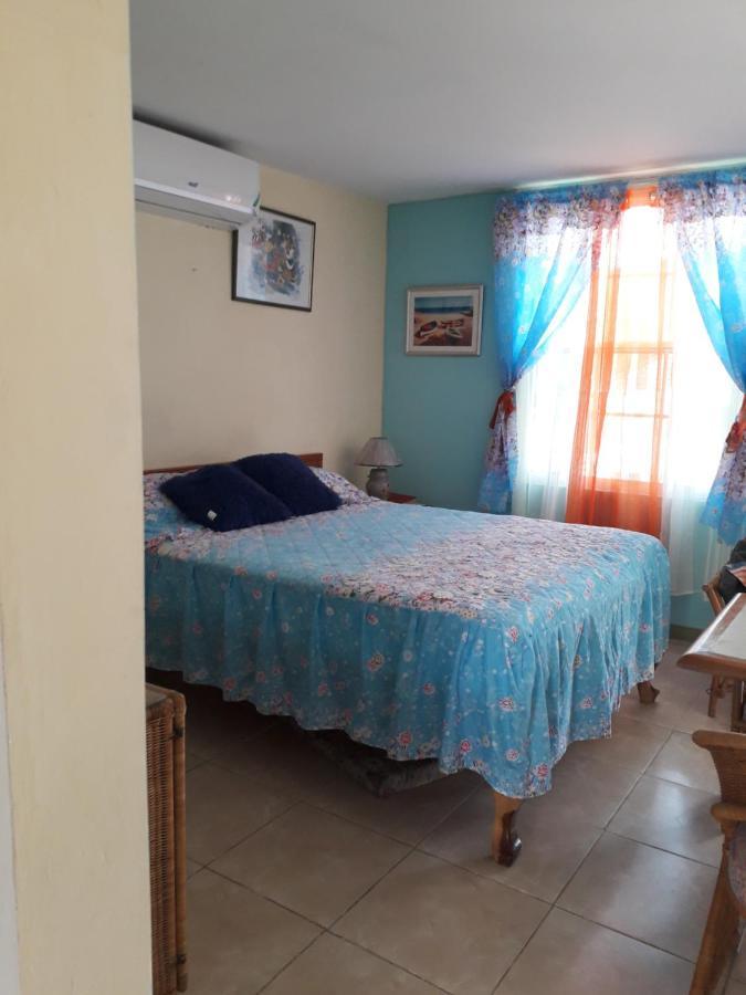 Seacastle Deluxe Studio Montego Bay Buitenkant foto